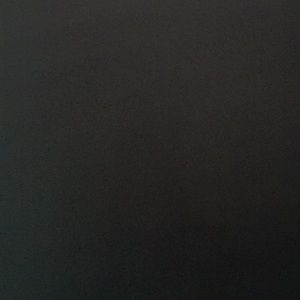 Meet your Posher, Reyna